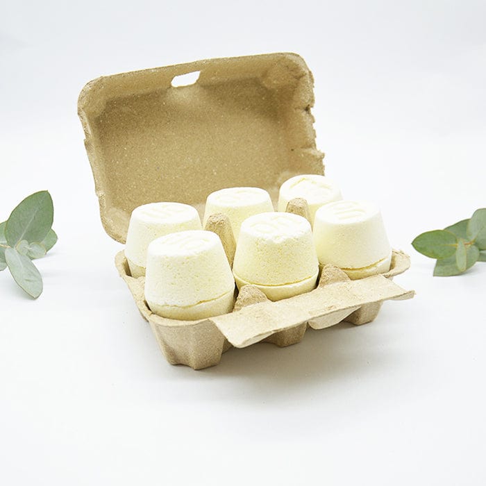 Toilet Cleaning Bombs - Carton of 12
